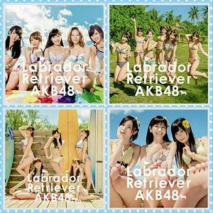AKB48ラブラドール・レトリバー1-1.JPG