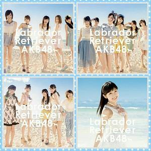 AKB48ラブラドール・レトリバー2-2.JPG